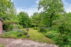 Tuin terras2.jpg